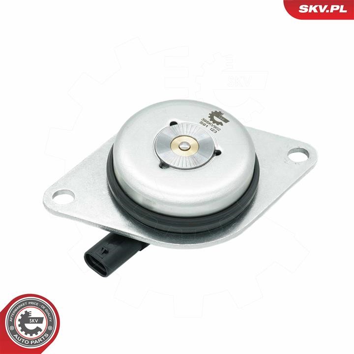 Esen SKV Central Magnet, camshaft adjustment – price [object Object] PLN