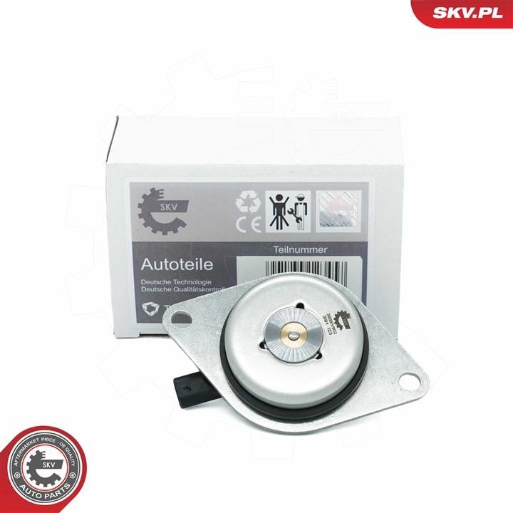 Esen SKV 39SKV902 Central Magnet, camshaft adjustment 39SKV902 39SKV902 Esen SKV Central Magnet, camshaft adjustment