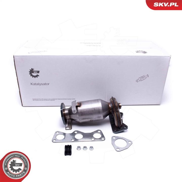 62SKV005 Esen SKV Catalytic Converter