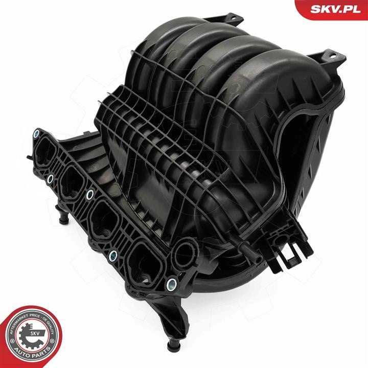 Intake Manifold Module Esen SKV 49SKV087