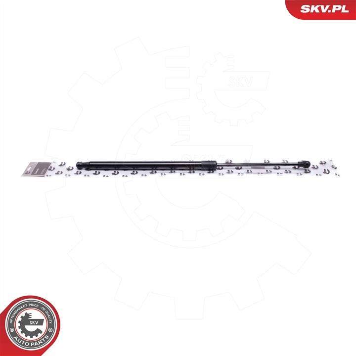 Buy Esen SKV 52SKV818 – good price at EXIST.AE!