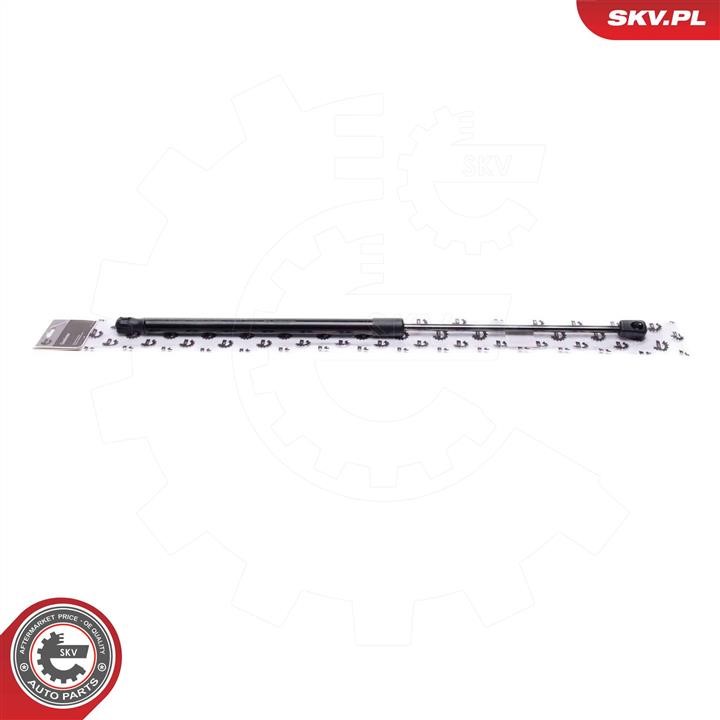 Buy Esen SKV 52SKV764 at a low price in United Arab Emirates!