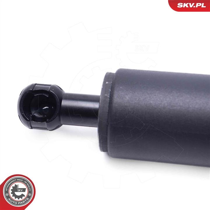 Electric Motor, tailgate Esen SKV 52SKV949