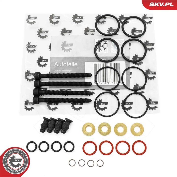 Esen SKV 53SKV187 Repair Kit, unit injector 53SKV187 53SKV187 Esen SKV Repair Kit, unit injector