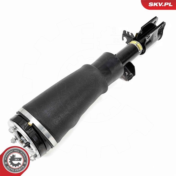 Esen SKV Air Suspension Strut – price [object Object] PLN