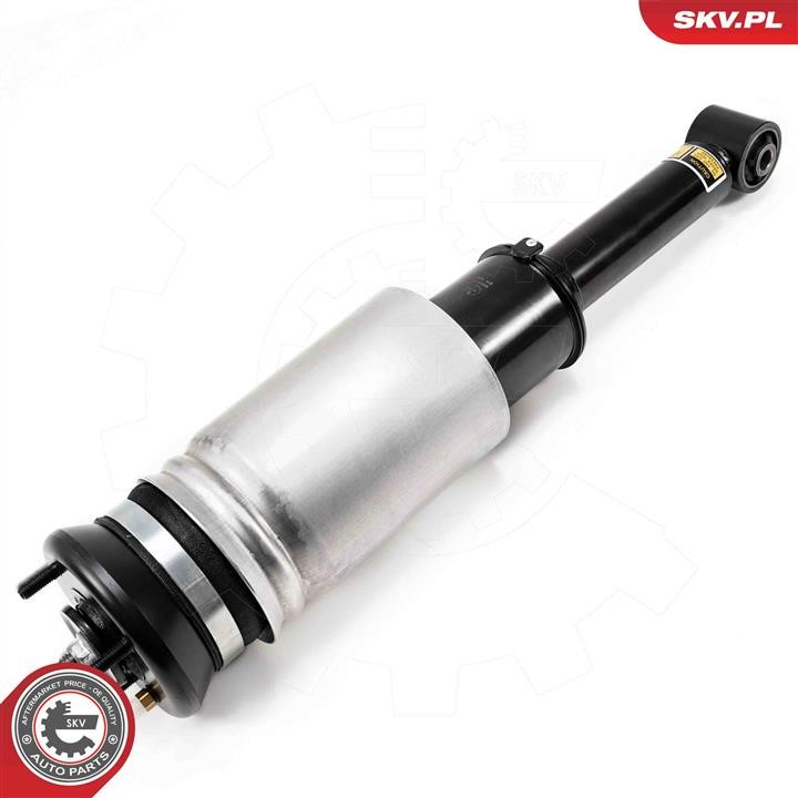 Esen SKV Air Suspension Strut – price [object Object] PLN