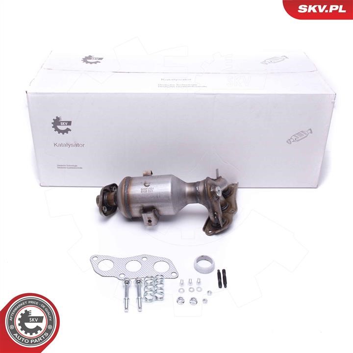 62SKV001 Esen SKV Catalytic Converter