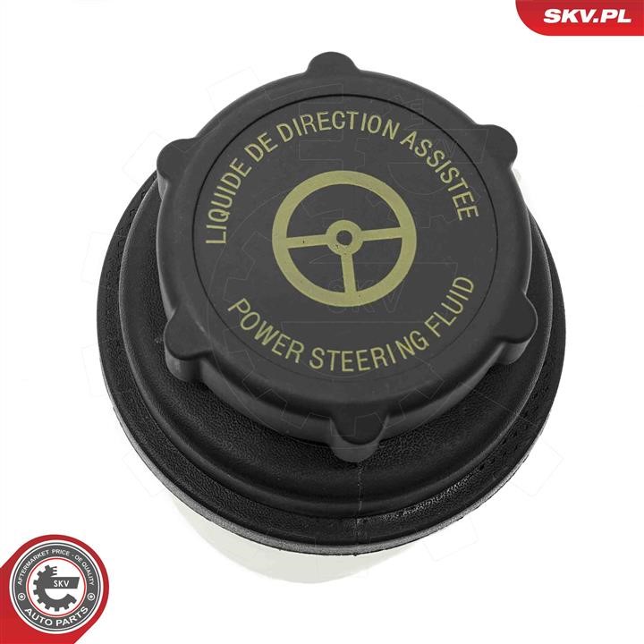 Esen SKV Expansion Tank, power steering hydraulic oil – price [object Object] PLN