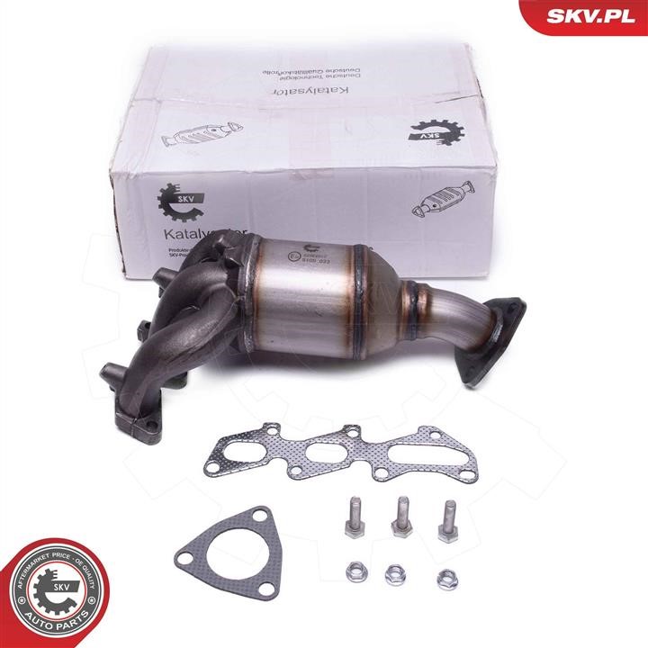 62SKV012 Esen SKV Catalytic Converter