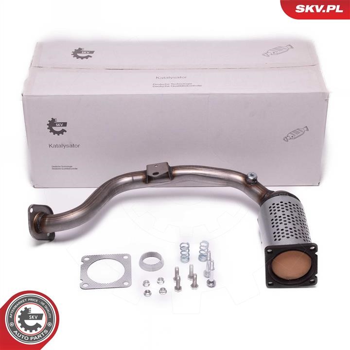 62SKV015 Esen SKV Catalytic Converter