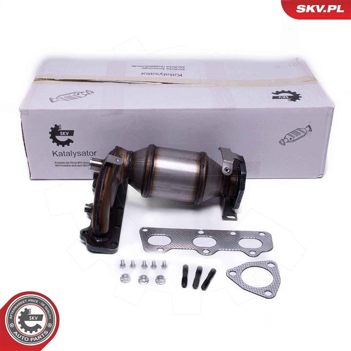 62SKV026 Esen SKV Catalytic Converter