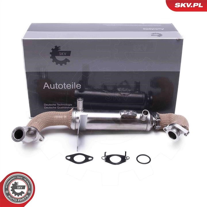 14SKV246 Esen SKV Cooler, exhaust gas recirculation