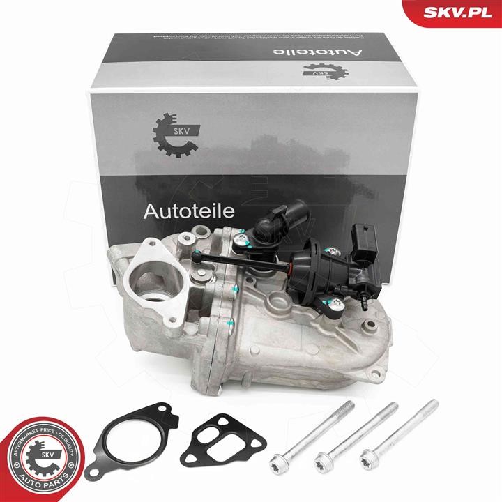 14SKV252 Esen SKV Cooler, exhaust gas recirculation