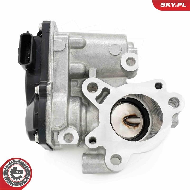 EGR Valve Esen SKV 14SKV276