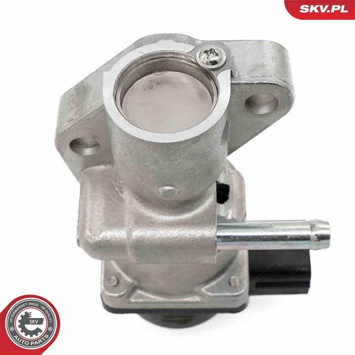 EGR Valve Esen SKV 14SKV282