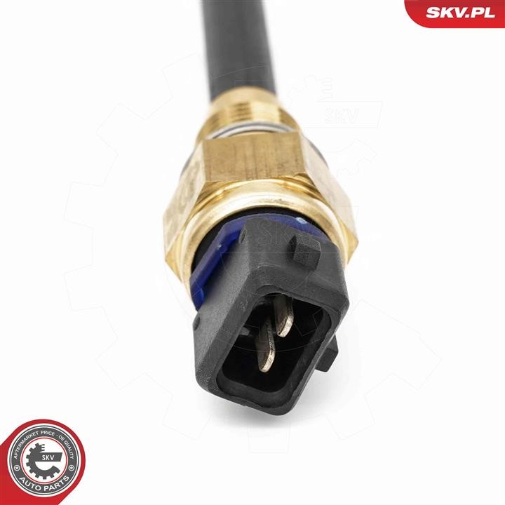 Oil level sensor Esen SKV 17SKV939