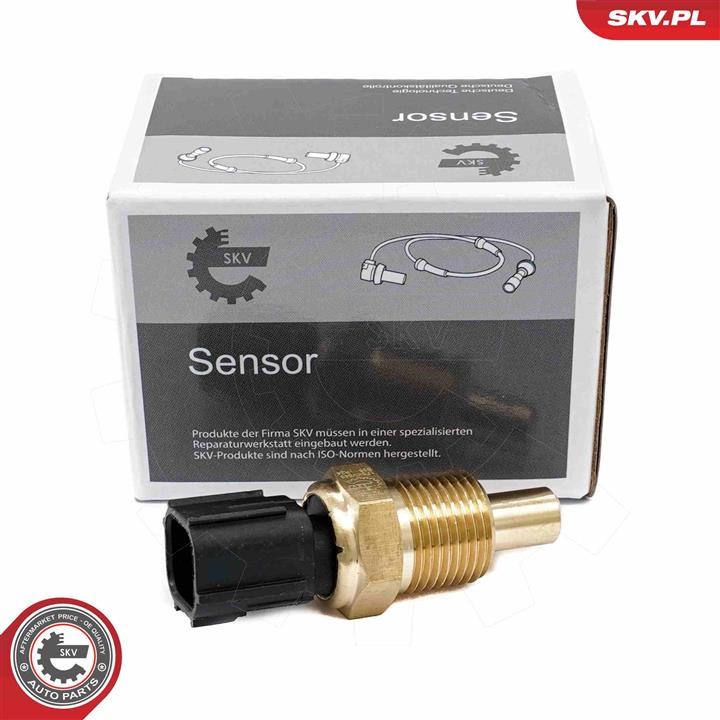 17SKV843 Esen SKV Coolant level sensor
