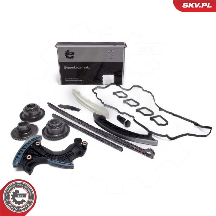 21SKV268 Esen SKV Timing Chain Kit