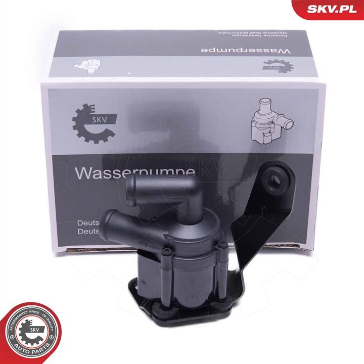22SKV043 Esen SKV Auxiliary Water Pump (cooling water circuit)