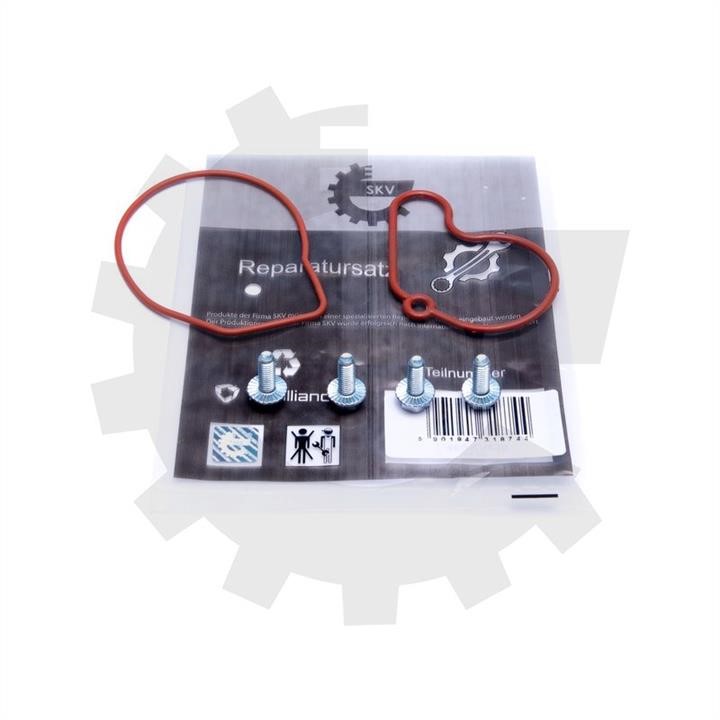 18SKV807 Esen SKV Repair Set, vacuum pump (braking system)