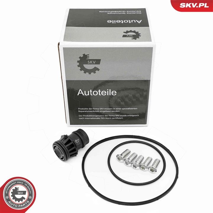 18SKV810 Esen SKV Repair Set, vacuum pump (braking system)