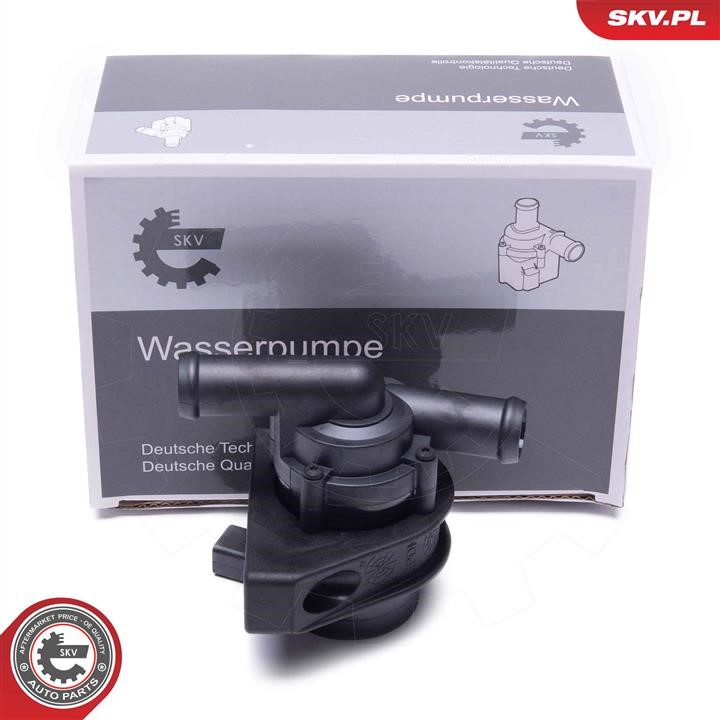 22SKV064 Esen SKV Auxiliary Water Pump (cooling water circuit)