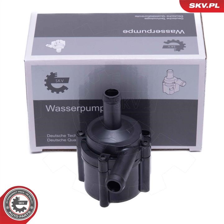 22SKV067 Esen SKV Auxiliary Water Pump (cooling water circuit)