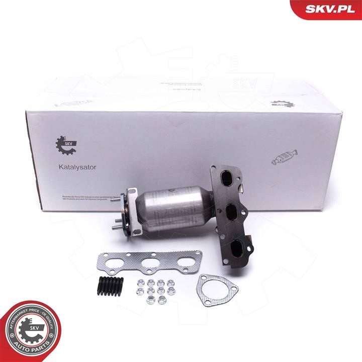 62SKV007 Esen SKV Catalytic Converter