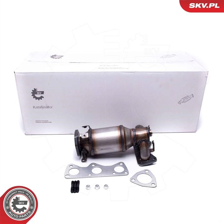 62SKV010 Esen SKV Catalytic Converter