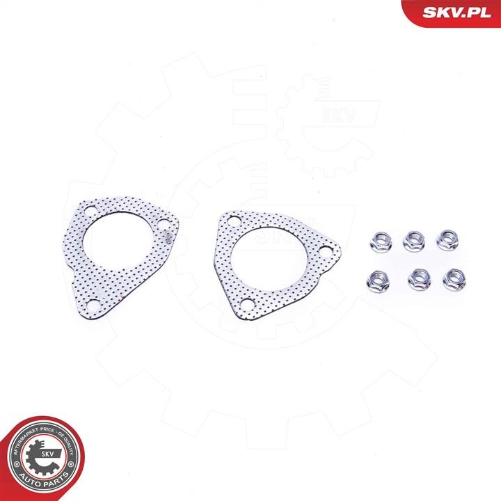 Diesel particulate filter DPF Esen SKV 62SKV504