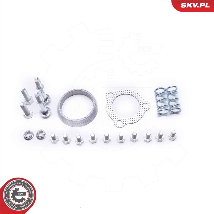 Diesel particulate filter DPF Esen SKV 62SKV507