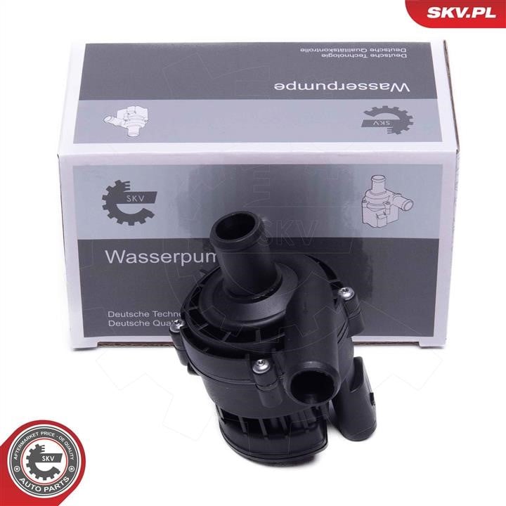 22SKV066 Esen SKV Auxiliary Water Pump (cooling water circuit)