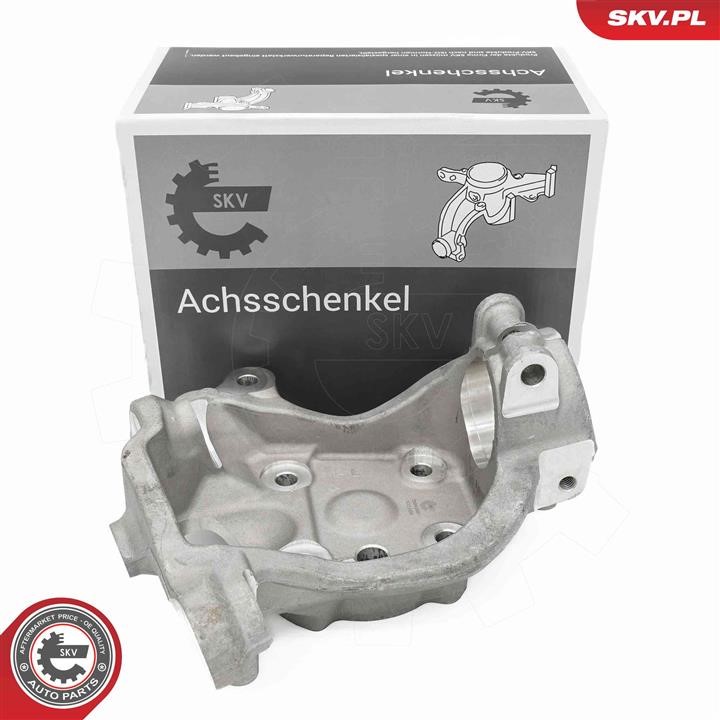 73SKV031 Esen SKV Knuckle swivel