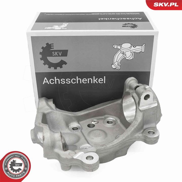 73SKV032 Esen SKV Knuckle swivel
