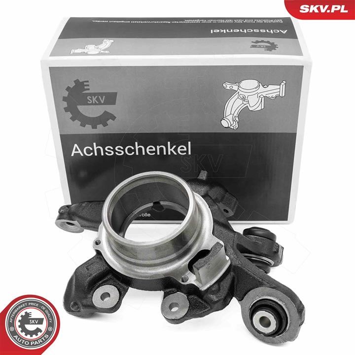 73SKV041 Esen SKV Knuckle swivel