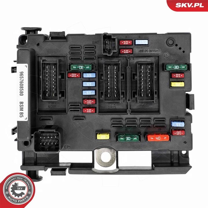 Control Unit, engine management Esen SKV 96SKV321