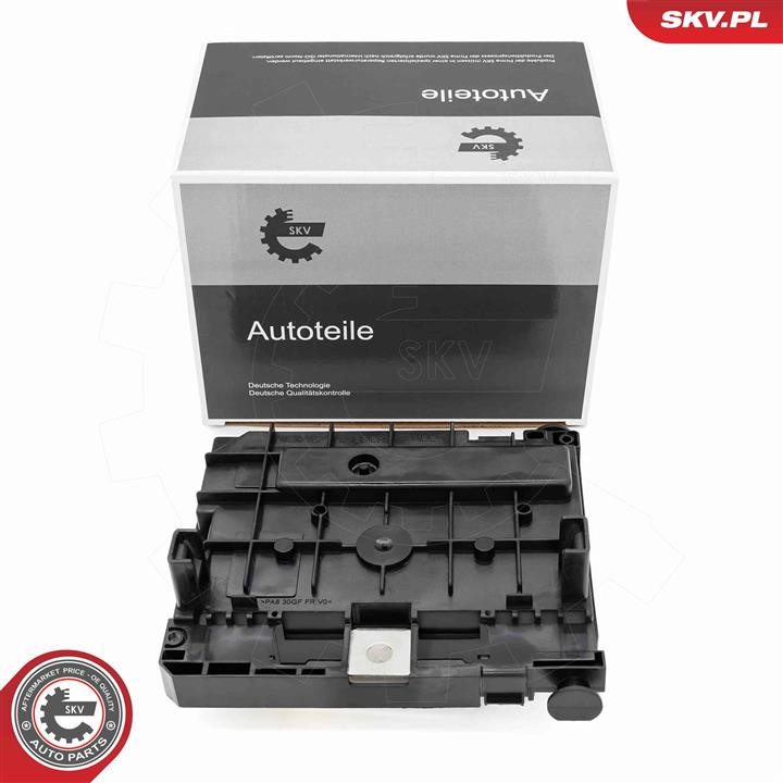 96SKV322 Esen SKV Control Unit, engine management