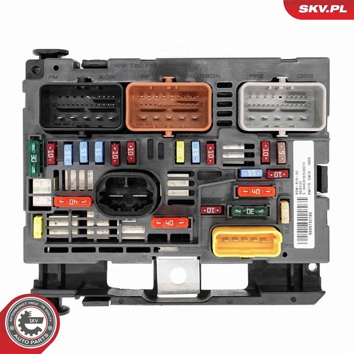 Control Unit, engine management Esen SKV 96SKV323