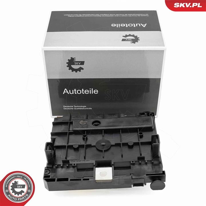 Control units Peugeot 607: 96SKV323 Esen SKV Control Unit, engine management