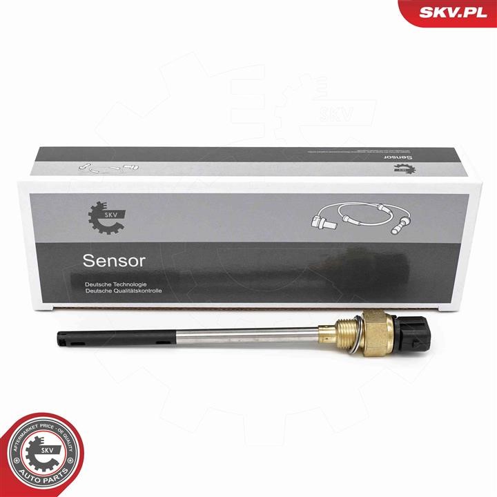Oil level sensor Renault Megane: 17SKV934 Esen SKV Oil level sensor