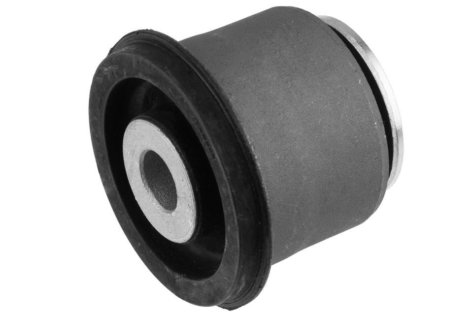 Rubber bushes Dodge Durango: ZTPCH033E NTY Silent block