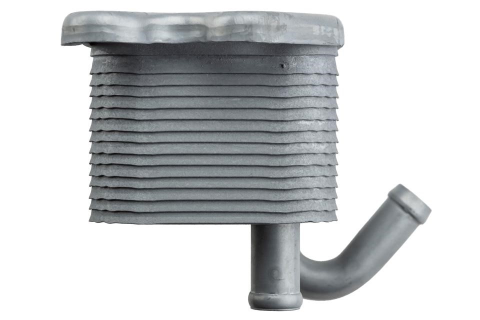 Buy NTY CCL-VV-015 at a low price in United Arab Emirates!