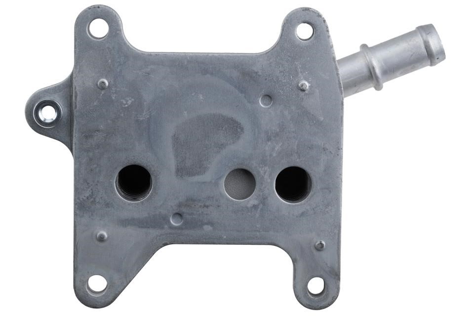 Oil cooler NTY CCL-RE-015