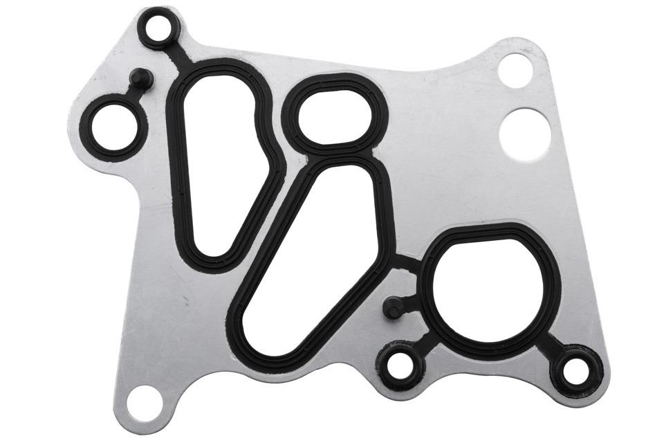 Gasket, oil cooler NTY CCL-ME-051