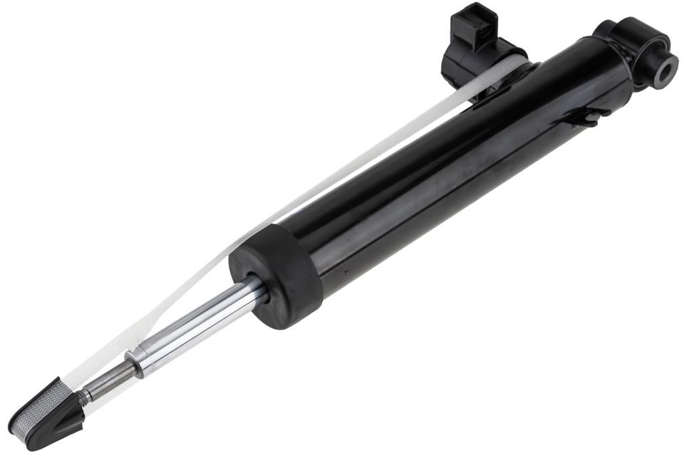 ACH031 NTY Shock absorber assy