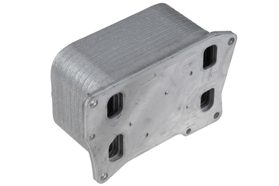 Buy NTY CCL-ME-047 at a low price in United Arab Emirates!