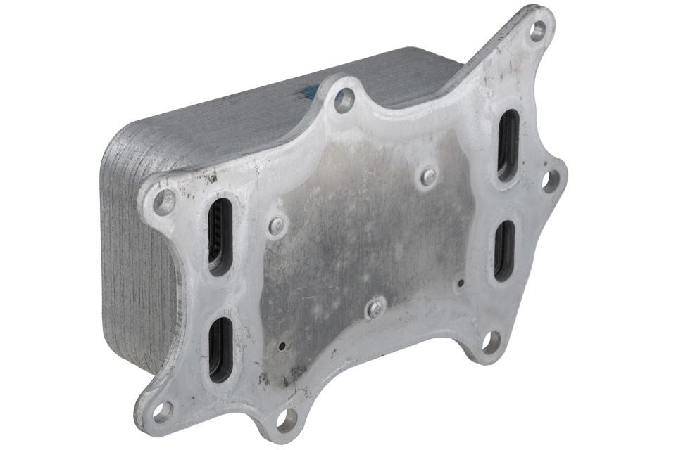 Buy NTY CCL-ME-048 at a low price in United Arab Emirates!