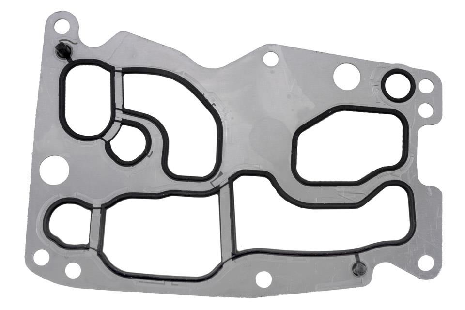 Gasket, oil cooler NTY CCL-BM-082