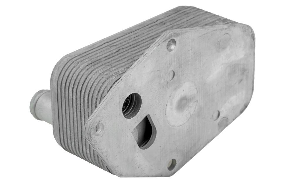 Buy NTY CCL-BM-065 at a low price in United Arab Emirates!