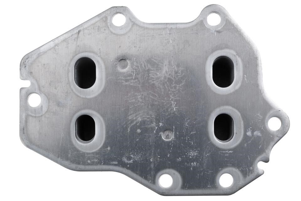 Oil Cooler, engine oil NTY CCL-BM-087